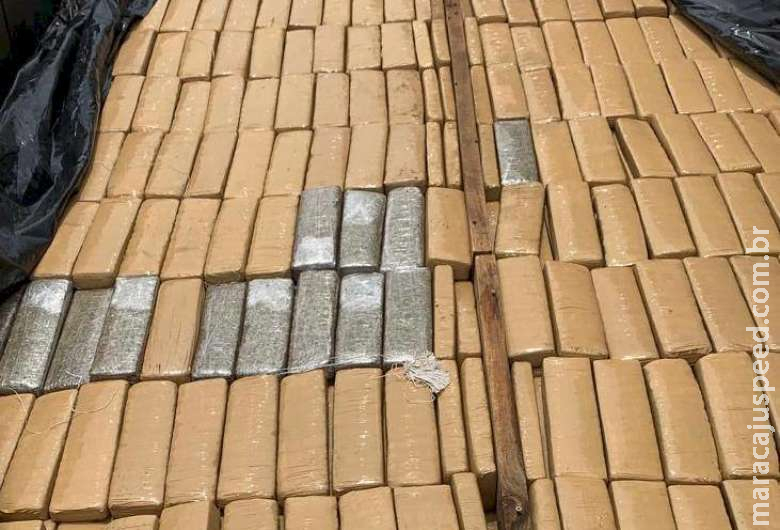 Polícia Civil apreende mais de uma tonelada de entorpecentes Polícia Civil apreende mais de uma tonelada de entorpecentes