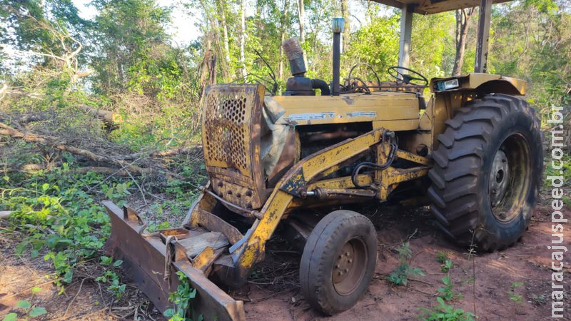 Proprietário rural é multado em R$ 21 mil por exploração de madeira em área de floresta Proprietário rural é multado em R$ 21 mil por exploração de madeira em área de floresta