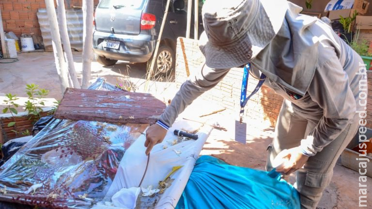 Quatro bairros de Campo Grande estão com alto risco de infestação do Aedes aegypti Quatro bairros de Campo Grande estão com alto risco de infestação do Aedes aegypti