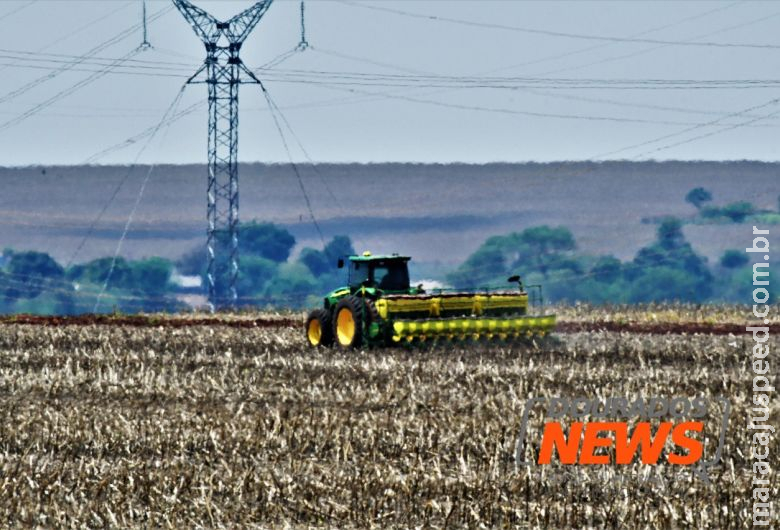 Reta final do plantio da soja tem 100% das lavouras em boas condições