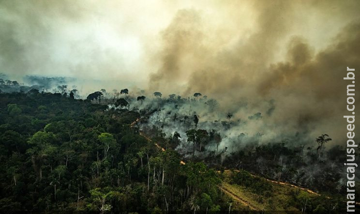 Senado aprova adequação de política nacional sobre o clima Senado aprova adequação de política nacional sobre o clima