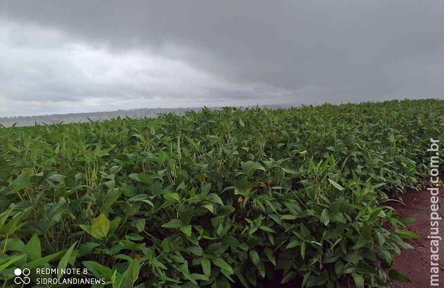 Sidrolândia esta entre seis maiores municípios agrícolas que somam PIB de R$ 30,4 bilhões em MS Sidrolândia esta entre seis maiores municípios agrícolas que somam PIB de R$ 30,4 bilhões em MS