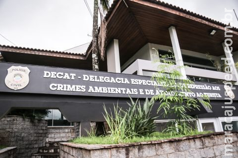 Sumiço de sptiz alemão em Campo Grande acaba com quem tentou ajudar na delegacia Sumiço de sptiz alemão em Campo Grande acaba com quem tentou ajudar na delegacia