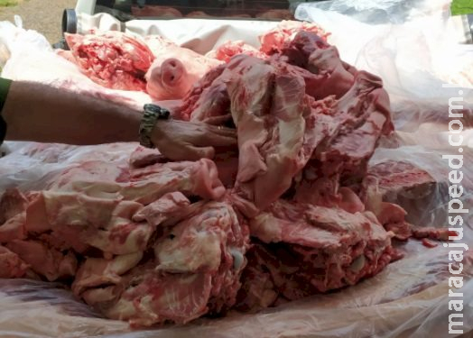 Três toneladas de carne de porco impróprias para consumo são apreendidas em frigorífico interditado Três toneladas de carne de porco impróprias para consumo são apreendidas em frigorífico interditado