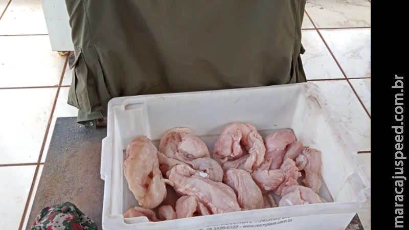 Trio flagrado com carne de jacaré na BR-262 é preso e multado em R$ 12 mil Trio flagrado com carne de jacaré na BR-262 é preso e multado em R$ 12 mil