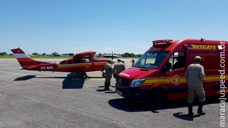Adolescente grávida é resgatada de avião após ser atacada por marimbondos no Pantanal Adolescente grávida é resgatada de avião após ser atacada por marimbondos no Pantanal