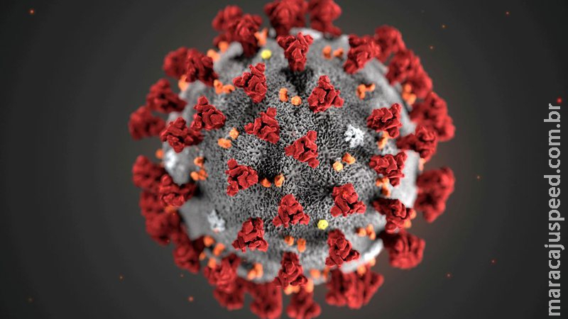 Brasil tem 27 casos confirmados da variante Ômicron Brasil tem 27 casos confirmados da variante Ômicron