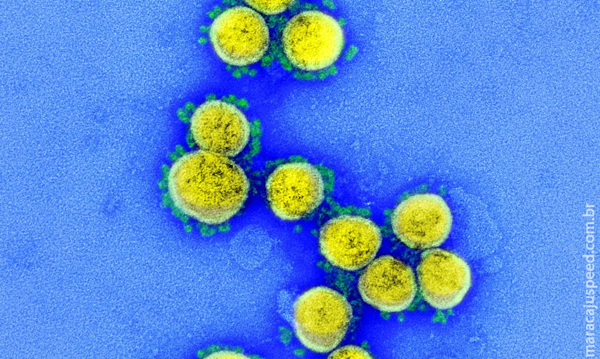 Brasil tem 35 casos confirmados da variante Ômicron