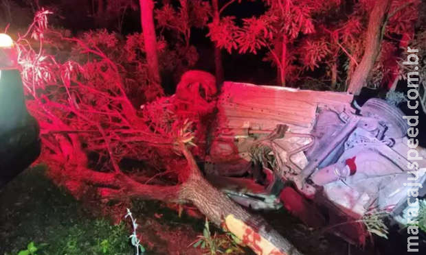 Carro sai da pista, capota e deixa dois mortos na BR-262 Carro sai da pista, capota e deixa dois mortos na BR-262