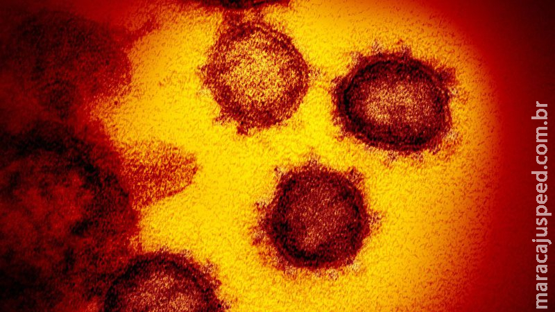 Casos de covid-19 somam 22,1 milhões no Brasil Casos de covid-19 somam 22,1 milhões no Brasil