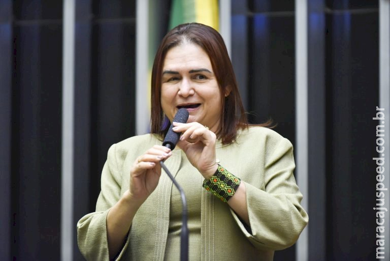 Comissão aprova cassação da habilitação de motorista que agredir mulheres no trânsito Comissão aprova cassação da habilitação de motorista que agredir mulheres no trânsito