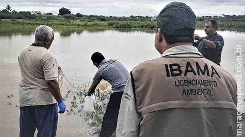 Concurso Ibama 2021: inscrições para 568 vagas e salários até R$ 8,5 mil acabam em uma semana Concurso Ibama 2021: inscrições para 568 vagas e salários até R$ 8,5 mil acabam em uma semana