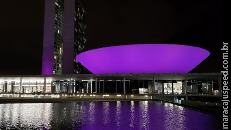 Congresso recebe iluminação roxa como alerta para violência contra mulheres com deficiência Congresso recebe iluminação roxa como alerta para violência contra mulheres com deficiência