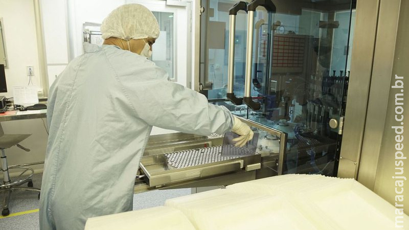 Covid-19: todas as vacinas administradas no Brasil têm efetividade Covid-19: todas as vacinas administradas no Brasil têm efetividade