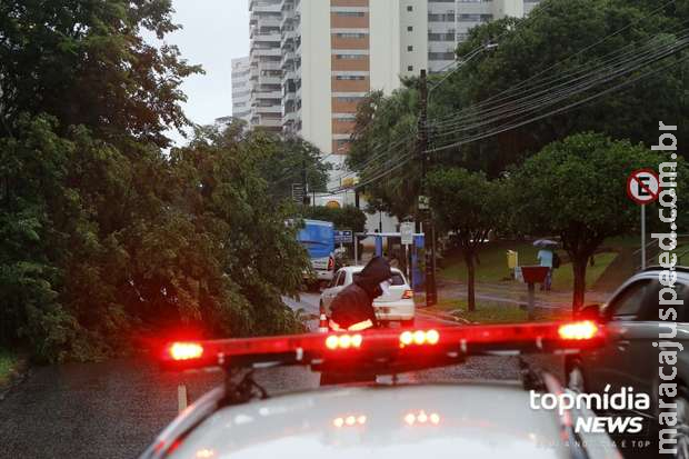 Homem aborda jovens que andavam de bicicleta e skate e atira contra eles Homem aborda jovens que andavam de bicicleta e skate e atira contra eles