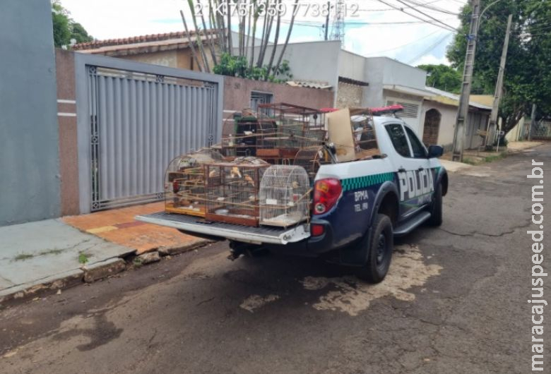 Homem é autuado em R$ 19 mil por manter 21 pássaros ilegalmente em cativeiro Homem é autuado em R$ 19 mil por manter 21 pássaros ilegalmente em cativeiro