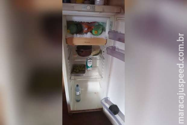 Irmãs pedem doações de comida e emprego para cuidar de 6 crianças Irmãs pedem doações de comida e emprego para cuidar de 6 crianças