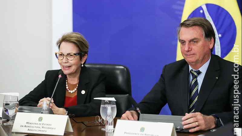Nas eleições de 2022, Bolsonaro pode ter chapa com Tereza Cristina de vice Nas eleições de 2022, Bolsonaro pode ter chapa com Tereza Cristina de vice