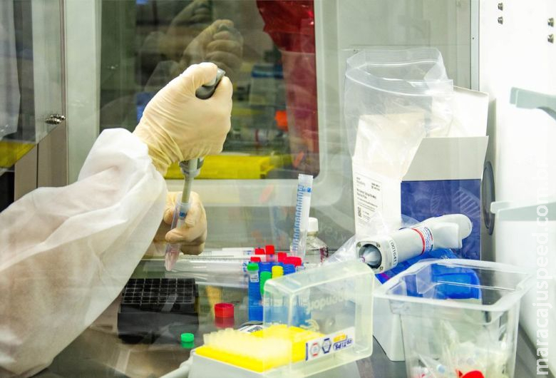 Ômicron está em 2,5% das amostras de covid-19 sequenciadas em SP Ômicron está em 2,5% das amostras de covid-19 sequenciadas em SP