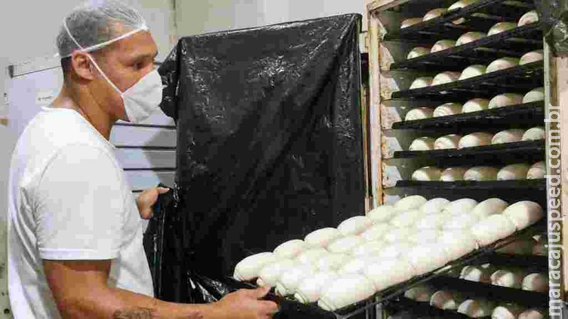 Pães e tijolos produzidos na penitenciária de Dourados atendem hospital e UPA