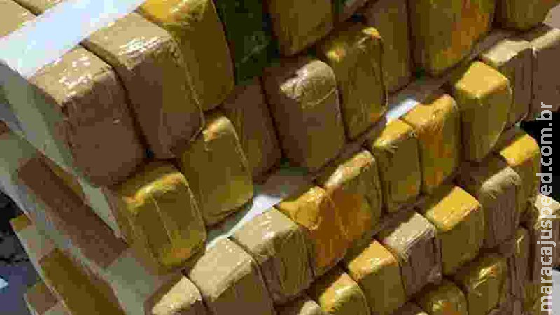 Polícia fecha entreposto de maconha que funcionava em quitinete de Dourados Polícia fecha entreposto de maconha que funcionava em quitinete de Dourados