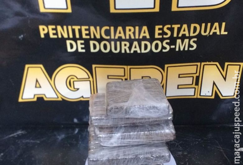 Policiais penais apreendem mais de um quilo de maconha em cela da PED Policiais penais apreendem mais de um quilo de maconha em cela da PED