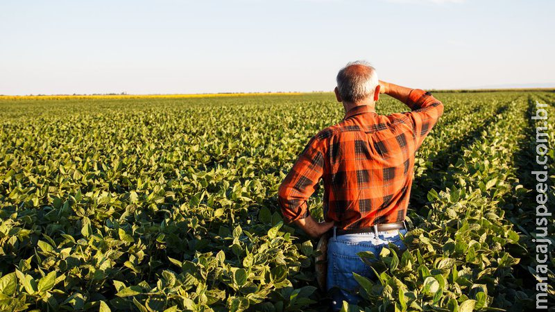 Produtor rural poderá regularizar cadastro ambiental pela internet Produtor rural poderá regularizar cadastro ambiental pela internet
