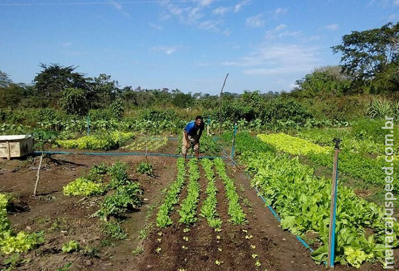 Promulgada lei que prevê socorro de R$ 2,5 mil para agricultores familiares na pandemia 