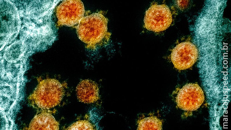 Rio Grande do Sul confirma caso de infecção pela variante Ômicron Rio Grande do Sul confirma caso de infecção pela variante Ômicron