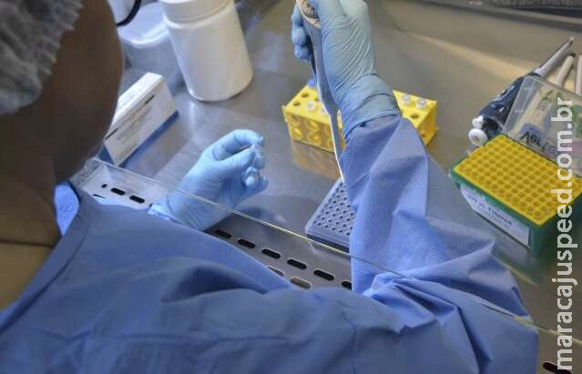 Saúde investiga se variante Darwin causou morte por H3N2 Saúde investiga se variante Darwin causou morte por H3N2