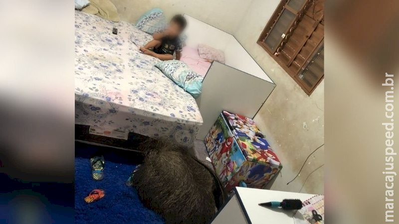 Tamanduá entra no quarto de crianças e deita no tapete em MS Tamanduá entra no quarto de crianças e deita no tapete em MS