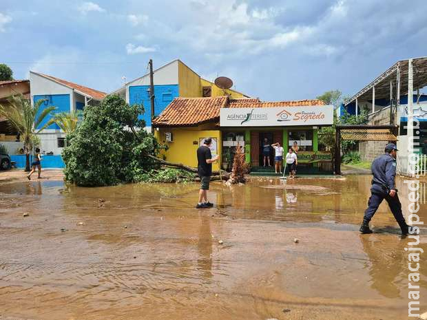 Temporal derruba ao menos 15 árvores em Bonito Temporal derruba ao menos 15 árvores em Bonito