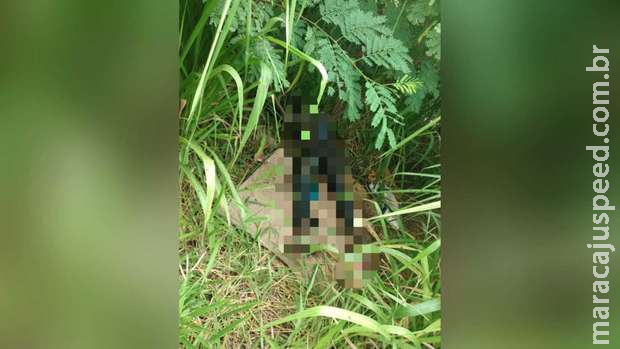Vizinhos pensaram que cheiro vindo de terreno onde corpo foi encontrado era de animal morto Vizinhos pensaram que cheiro vindo de terreno onde corpo foi encontrado era de animal morto