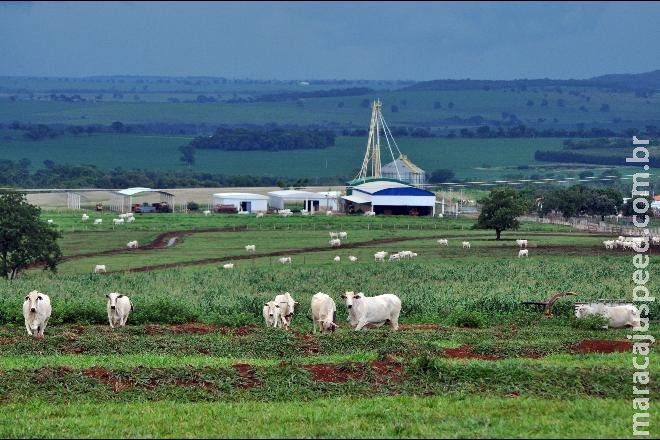 Alta de 20% no custo da produção deve impactar preço de alimentos 