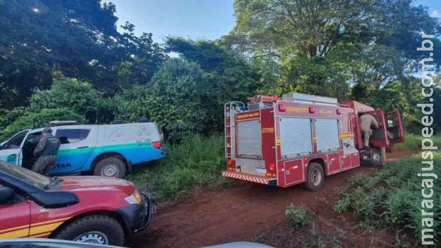 Bombeiros já percorreram 270 km em buscas por idosa desaparecida em trilha Bombeiros já percorreram 270 km em buscas por idosa desaparecida em trilha
