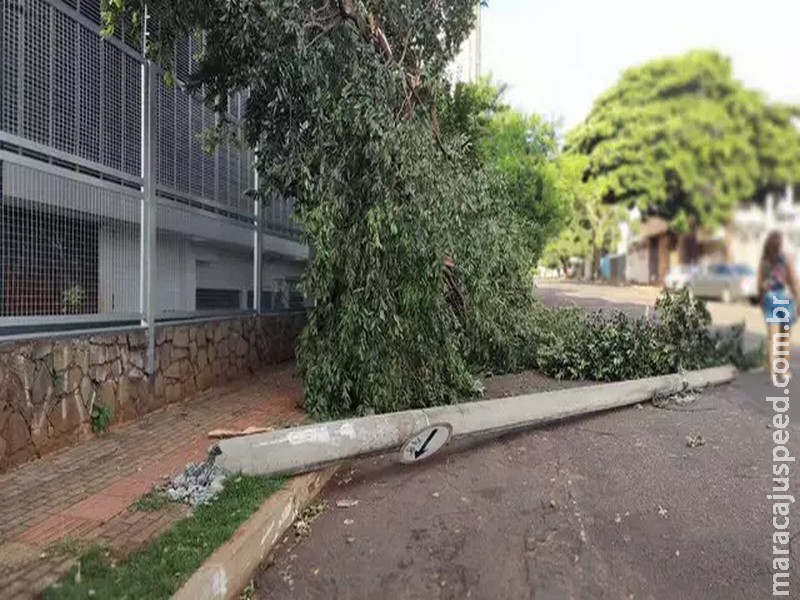 Caminhão arrasta fios, destrói árvores e derruba poste de energia Caminhão arrasta fios, destrói árvores e derruba poste de energia