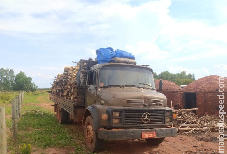 Caminhão com 19 m³ de madeira ilegal é apreendido