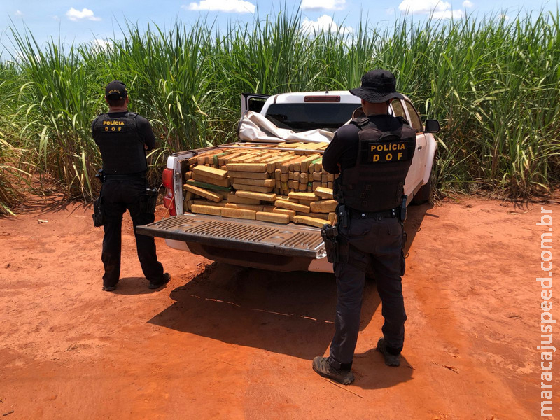 Camionete furtada em Santa Catarina foi apreendida pelo DOF com mais de uma tonelada de drogas durante a Operação Hórus Camionete furtada em Santa Catarina foi apreendida pelo DOF com mais de uma tonelada de drogas durante a Operação Hórus
