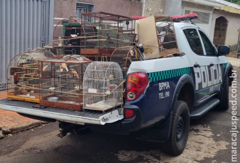 Crimes contra fauna motivaram R$ 3 milhões em multas ao longo do ano passado Crimes contra fauna motivaram R$ 3 milhões em multas ao longo do ano passado