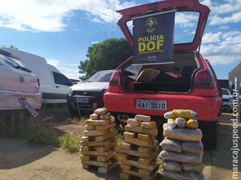 DOF prende casal por Tráfico de Drogas em Amambai DOF prende casal por Tráfico de Drogas em Amambai