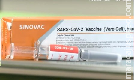 Duas doses da Coronavac neutralizam variante Ômicron, diz estudo Duas doses da Coronavac neutralizam variante Ômicron, diz estudo