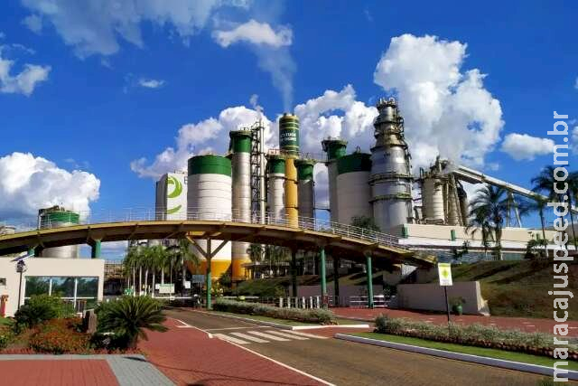 Empresa de celulose abre processo seletivo com 120 vagas para 5 cidades de MS Empresa de celulose abre processo seletivo com 120 vagas para 5 cidades de MS