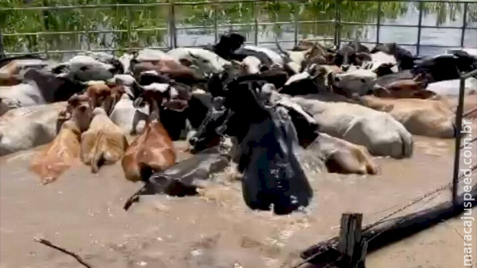 Enchente afeta 36 cidades no Tocantins e acende alerta na região Enchente afeta 36 cidades no Tocantins e acende alerta na região