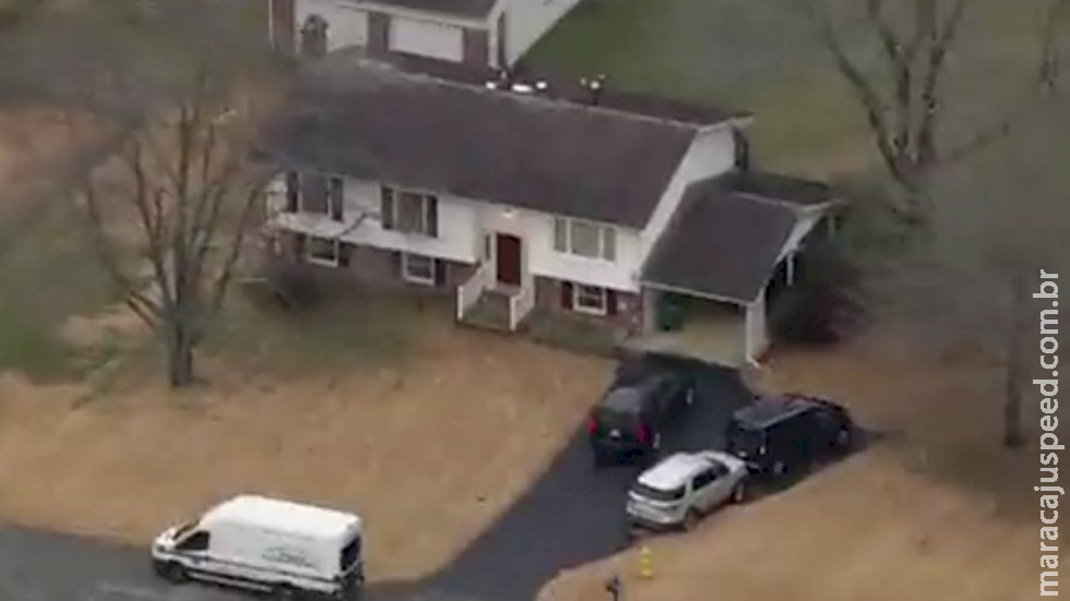 Homem é encontrado morto em casa cercado por mais de 125 cobras Homem é encontrado morto em casa cercado por mais de 125 cobras