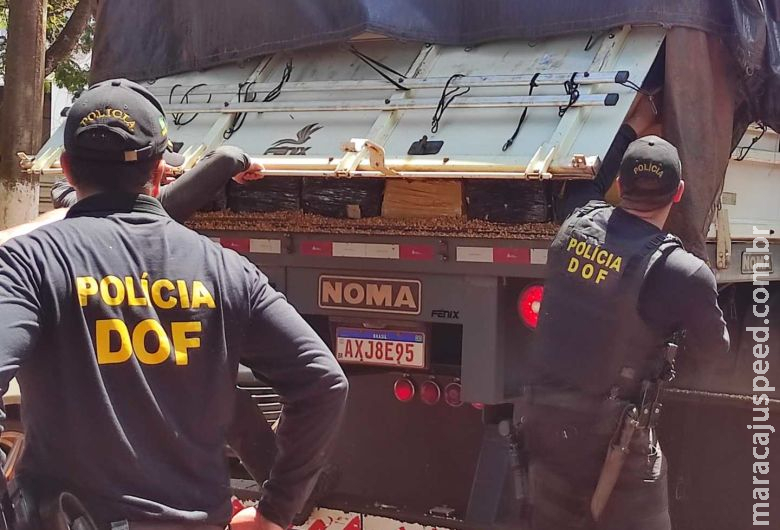 Polícia acredita que maconha apreendida faz parte de Polícia acredita que maconha apreendida faz parte de