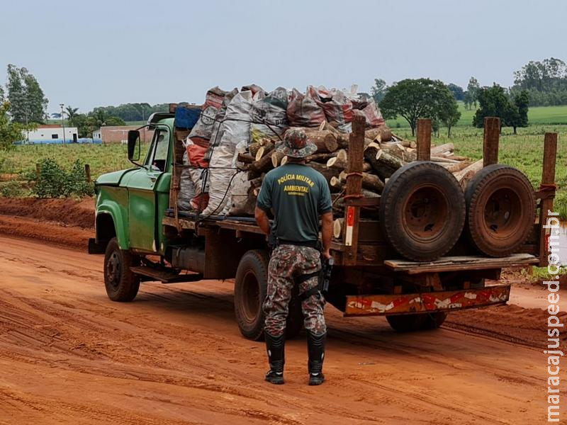 Polícia Militar Ambiental de Naviraí apreende caminhão com carvão e lenha ilegais e aplica multa de R$ 2 mil em carvoeiro