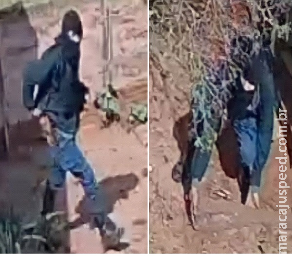Polícia tem imagens e caça assassinos de pai e filho em fazenda de Amambai