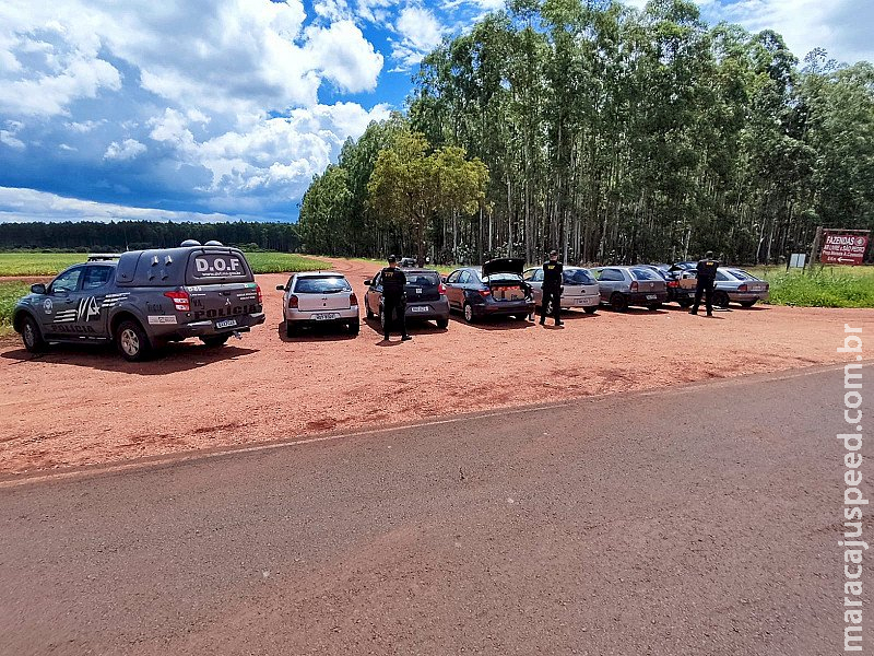 Sete carros com cigarros do Paraguai são apreendidos pelo DOF Sete carros com cigarros do Paraguai são apreendidos pelo DOF