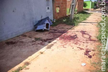 Suspeito de matar cunhado em festa de família se apresenta e confessa crime 