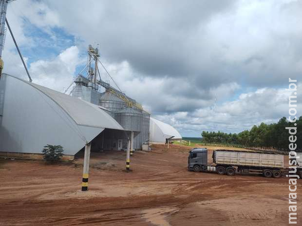 Trabalhador é sugado e morre soterrado em silo de milho em Mato Grosso Trabalhador é sugado e morre soterrado em silo de milho em Mato Grosso